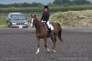 ISIS Dressage Challenge 2008